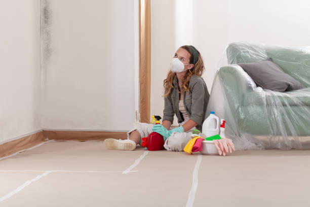 Reliable Commercial Mold Remediation contractor in Grant, MN by WQB Mold Removal